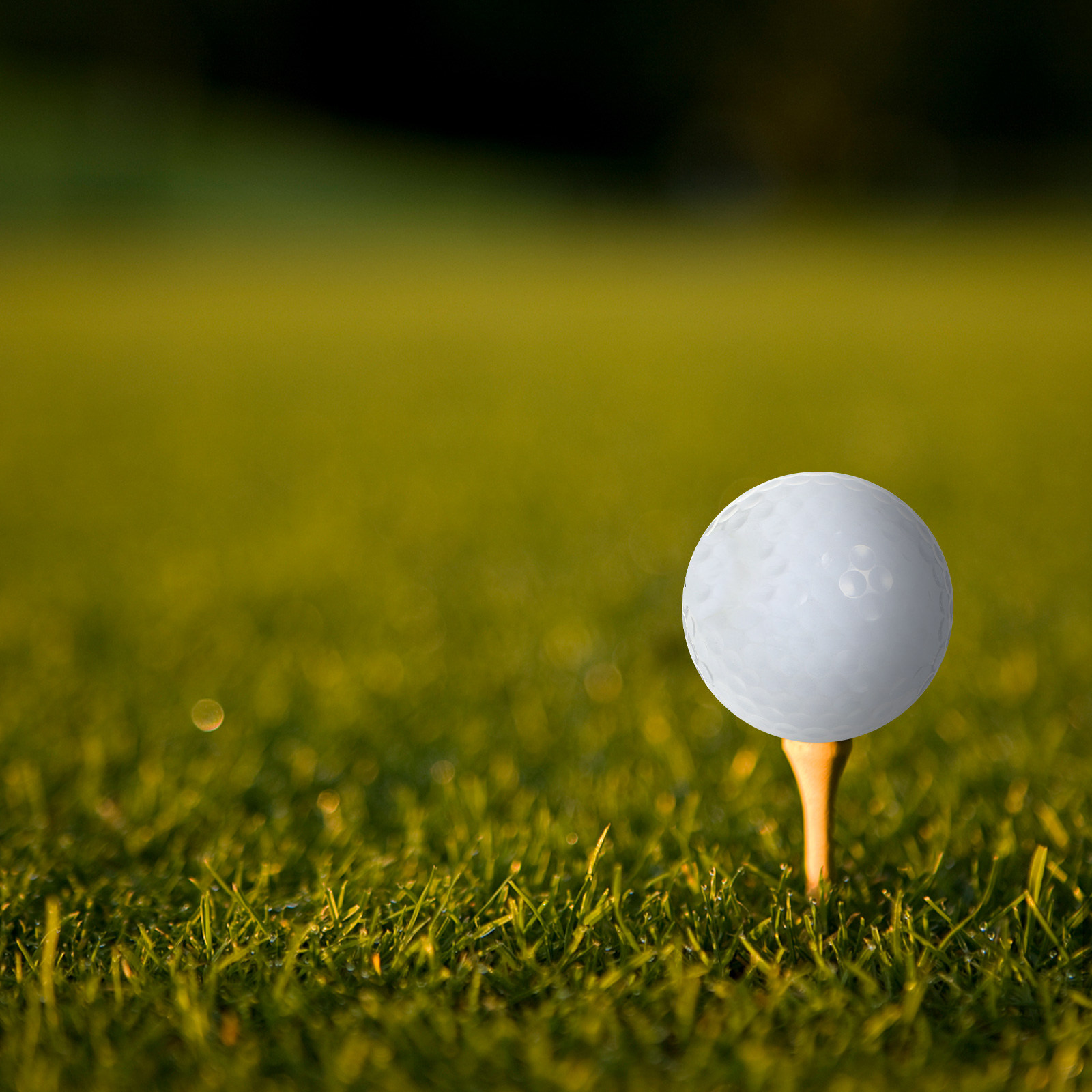 Golf Equipment For Beginners - Indoor oefengolfballen Uitrusting Lange afstand Wit